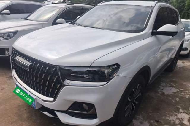 Used Haval H6 2023 National Trend Edition 1.5T Automatic Urban Version