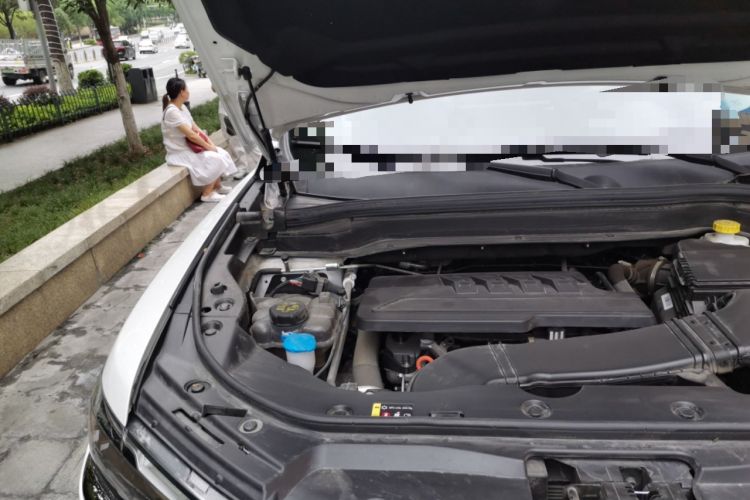 Used Haval H6 2023 National Trend Edition 1.5T Automatic Champion Version Engine Bay Right