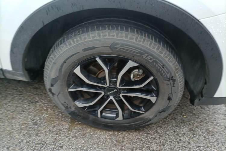 Used Haval H6 2023 National Trend Edition 1.5T Automatic Urban Version Exterior 1