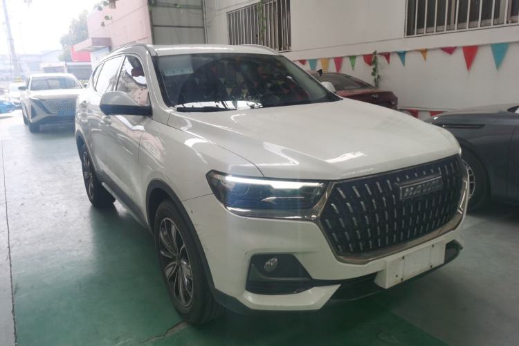 Used Haval H6 2023 National Trend Edition 1.5T Automatic Champion Version Exterior 1