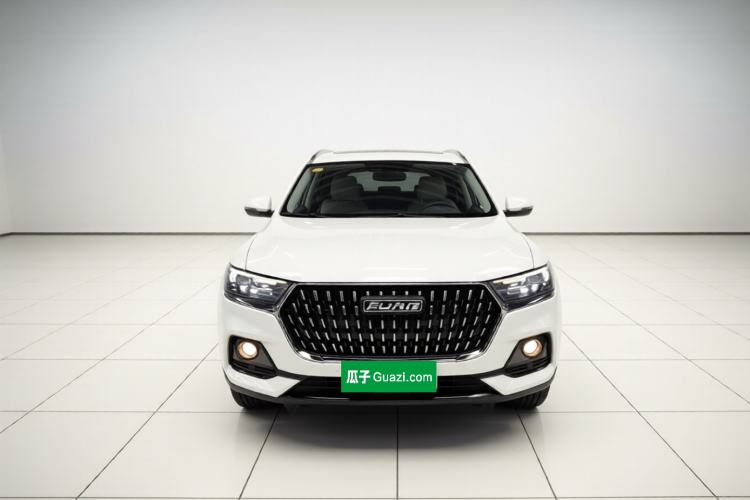 Used Haval H6 2023 National Trend Edition 1.5T Automatic Urban Version Exterior 1