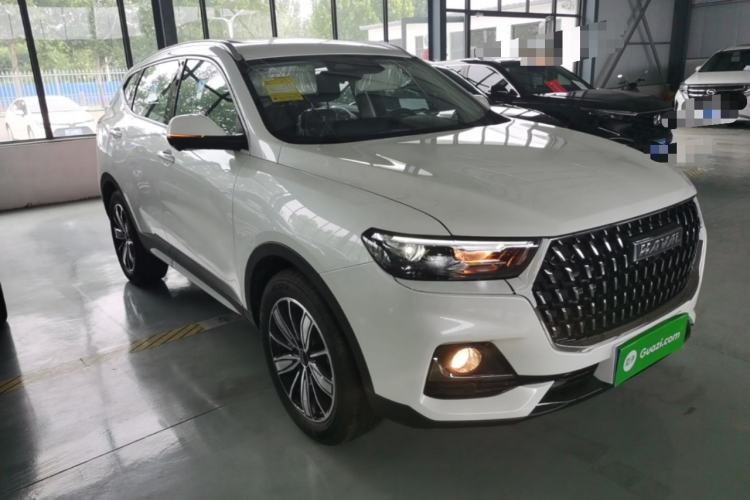 Used Haval H6 2023 National Trend Edition 1.5T Automatic Champion Version Exterior 1