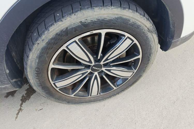 Used Haval H6 2023 National Trend Edition 1.5T Automatic Champion Version Exterior 1