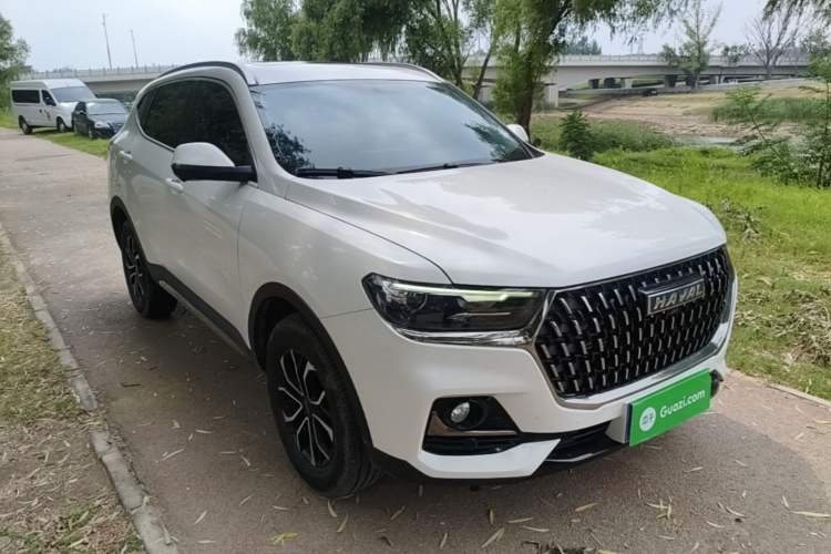 Used Haval H6 2023 National Trend Edition 1.5T Automatic Urban Version Exterior 1