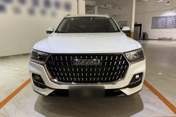 Used Haval H6 2023 National Trend Edition 1.5T Automatic Champion Version Exterior 1