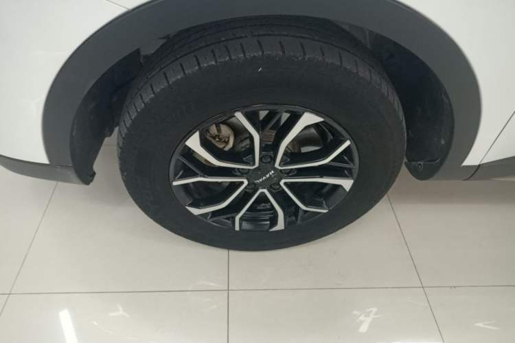 Used Haval H6 2023 National Trend Edition 1.5T Automatic Urban Version Exterior 1