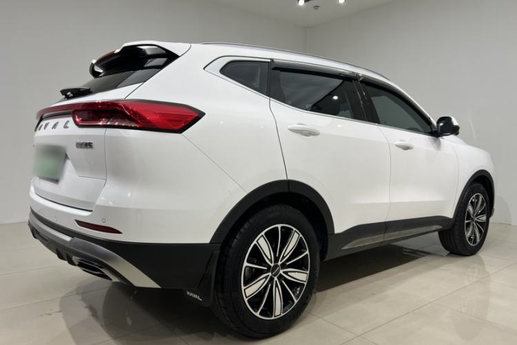 Used Haval H6 2023 National Trend Edition 1.5T Automatic Champion Version Exterior 1