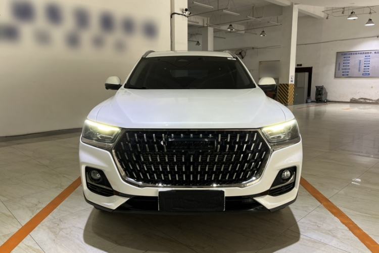 Used Haval H6 2023 National Trend Edition 1.5T Automatic Champion Version Exterior 1