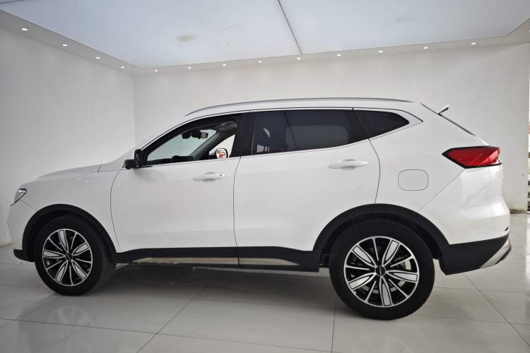 Used Haval H6 2023 National Trend Edition 1.5T Automatic Champion Version Exterior 10