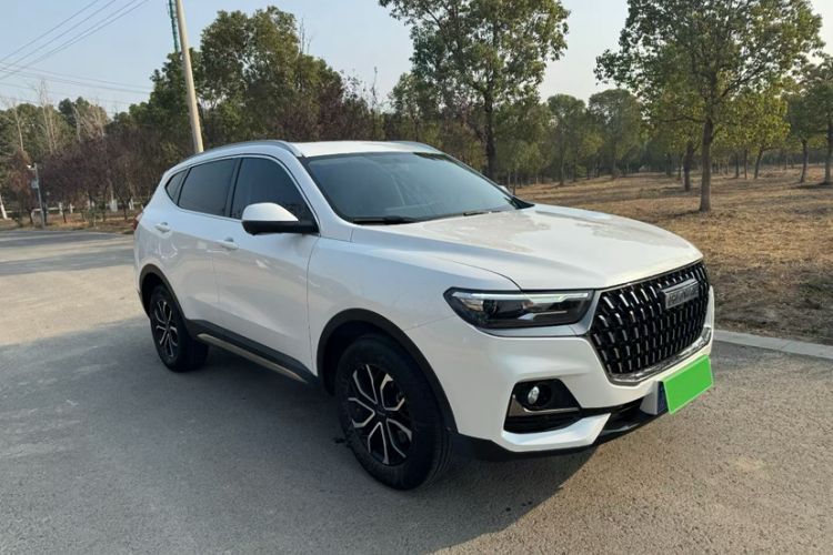 Used Haval H6 2023 National Trend Edition 1.5T Automatic Urban Version Exterior 10