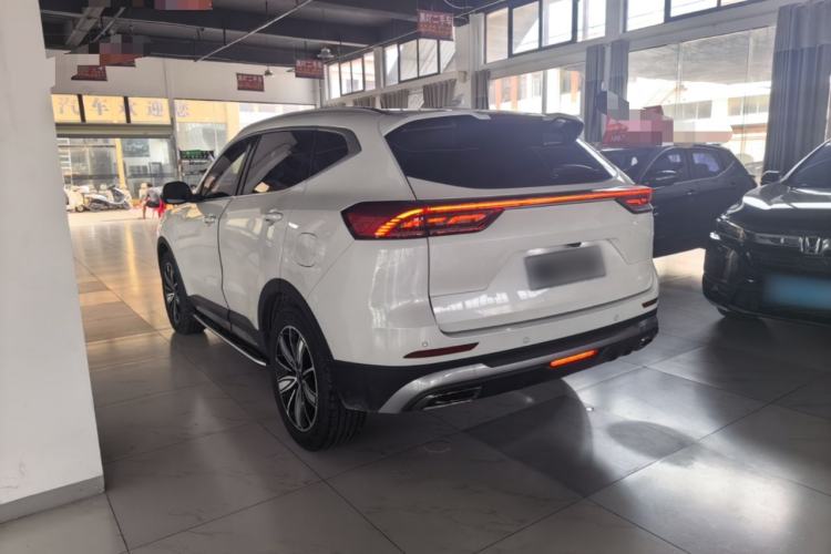 Used Haval H6 2023 National Trend Edition 1.5T Automatic Champion Version Exterior 2