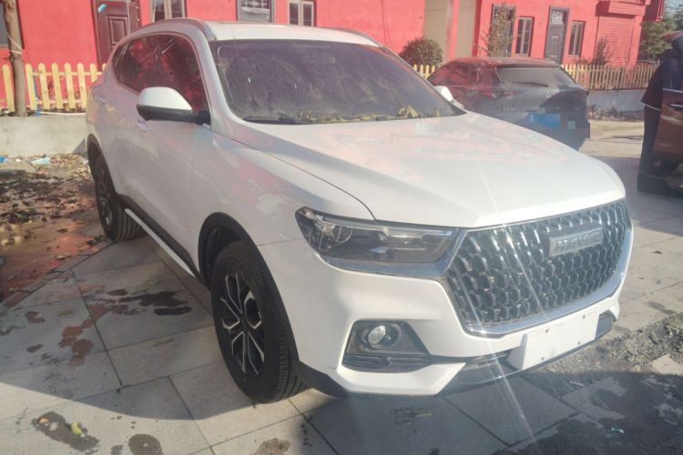 Used Haval H6 2023 National Trend Edition 1.5T Automatic Urban Version Exterior 2