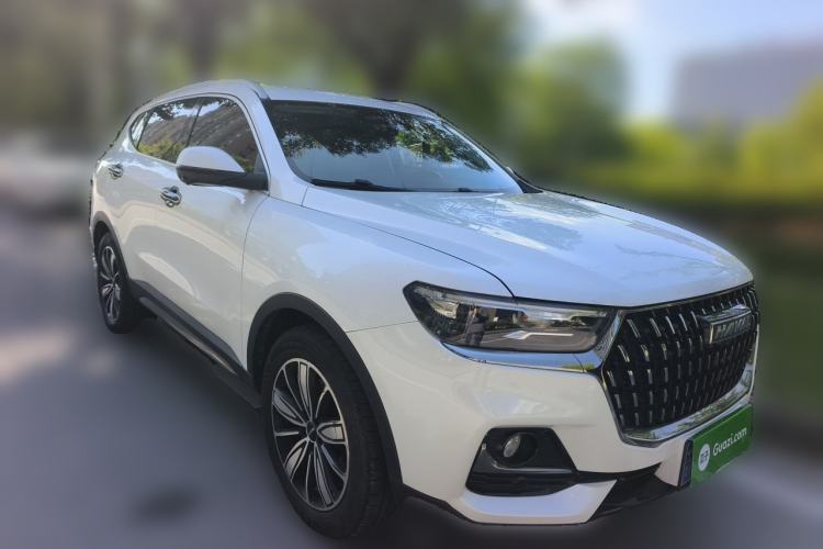 Used Haval H6 2023 National Trend Edition 1.5T Automatic Champion Version Exterior 2
