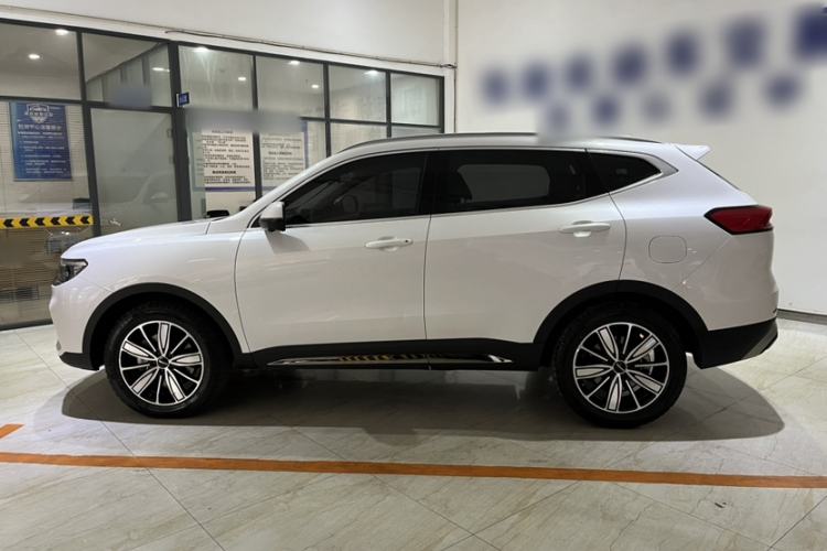 Used Haval H6 2023 National Trend Edition 1.5T Automatic Champion Version Exterior 2