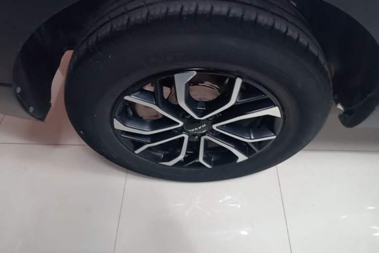 Used Haval H6 2023 National Trend Edition 1.5T Automatic Urban Version Exterior 2