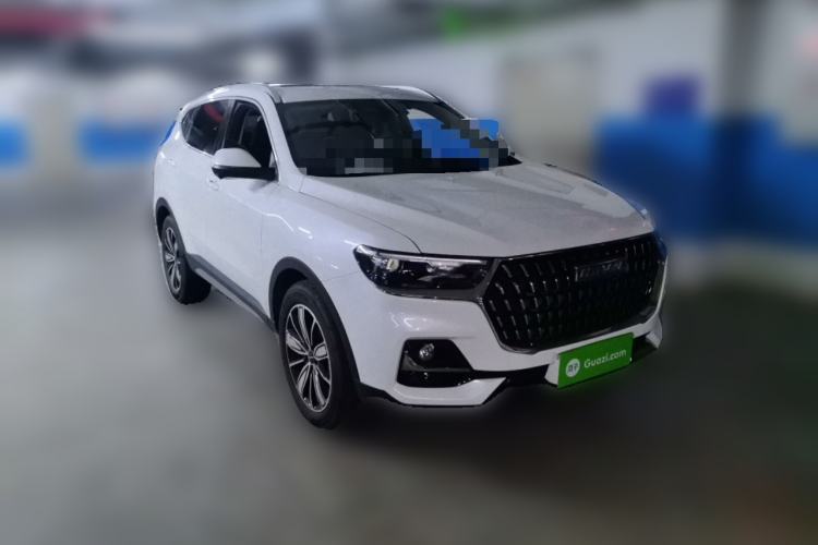 Used Haval H6 2023 National Trend Edition 1.5T Automatic Champion Version Exterior 2