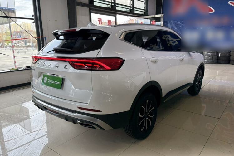 Used Haval H6 2023 National Trend Edition 1.5T Automatic Urban Version Exterior 2