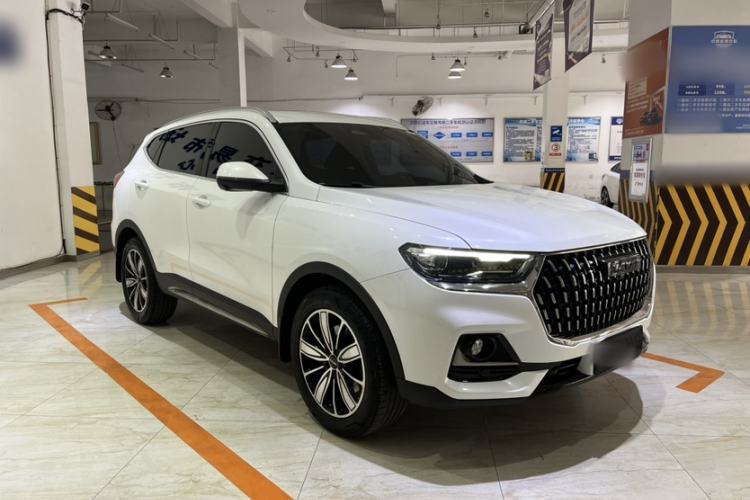 Used Haval H6 2023 National Trend Edition 1.5T Automatic Champion Version Exterior 2
