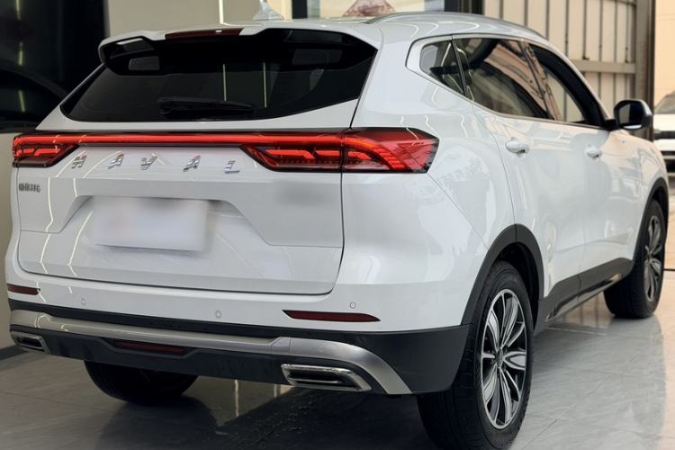 Used Haval H6 2023 National Trend Edition 1.5T Automatic Champion Version Exterior 3