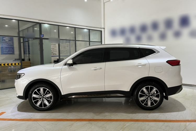 Used Haval H6 2023 National Trend Edition 1.5T Automatic Champion Version Exterior 3