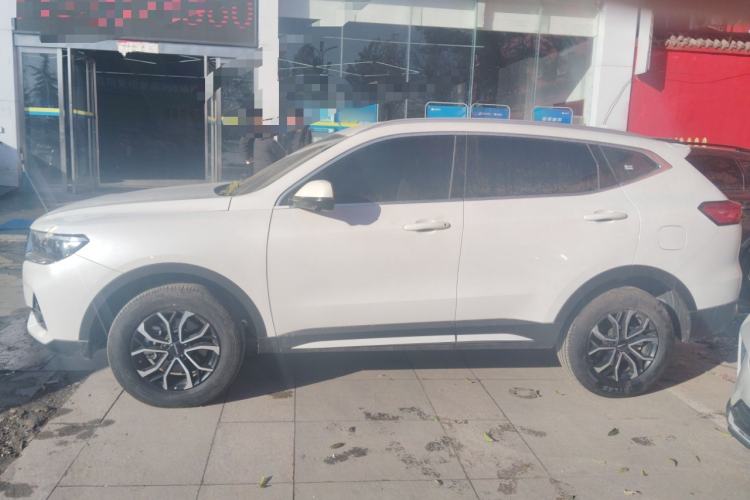 Used Haval H6 2023 National Trend Edition 1.5T Automatic Urban Version Exterior 3