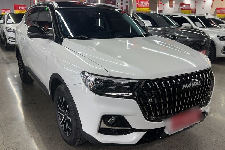 Used Haval H6 2023 National Trend Edition 1.5T Automatic Urban Version Exterior 3