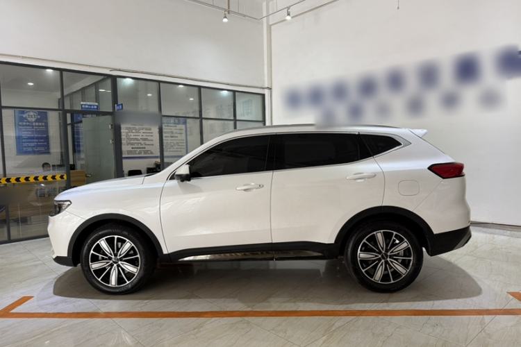 Used Haval H6 2023 National Trend Edition 1.5T Automatic Champion Version Exterior 3