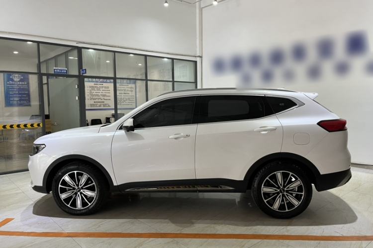 Used Haval H6 2023 National Trend Edition 1.5T Automatic Champion Version Exterior 3