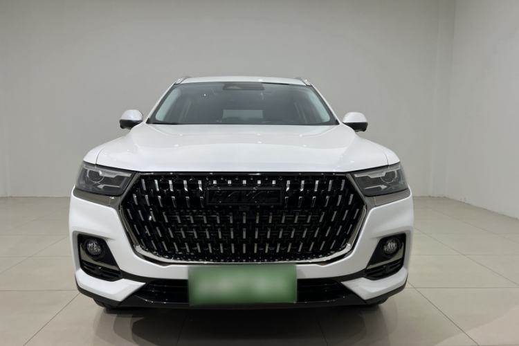 Used Haval H6 2023 National Trend Edition 1.5T Automatic Champion Version Exterior 3