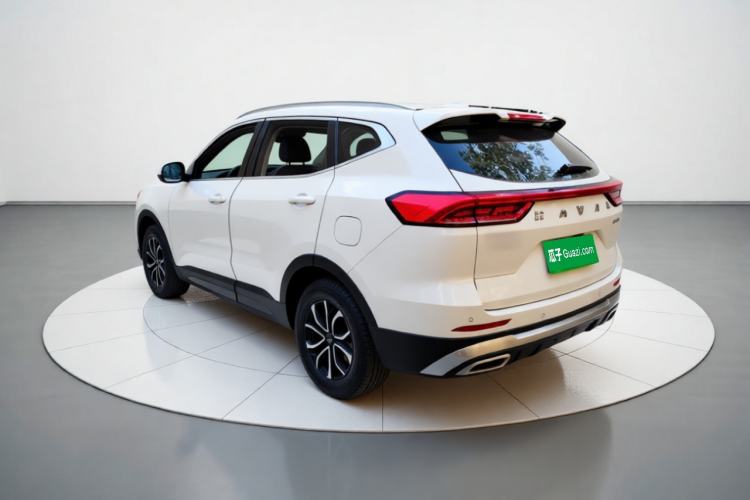 Used Haval H6 2023 National Trend Edition 1.5T Automatic Urban Version Exterior 3