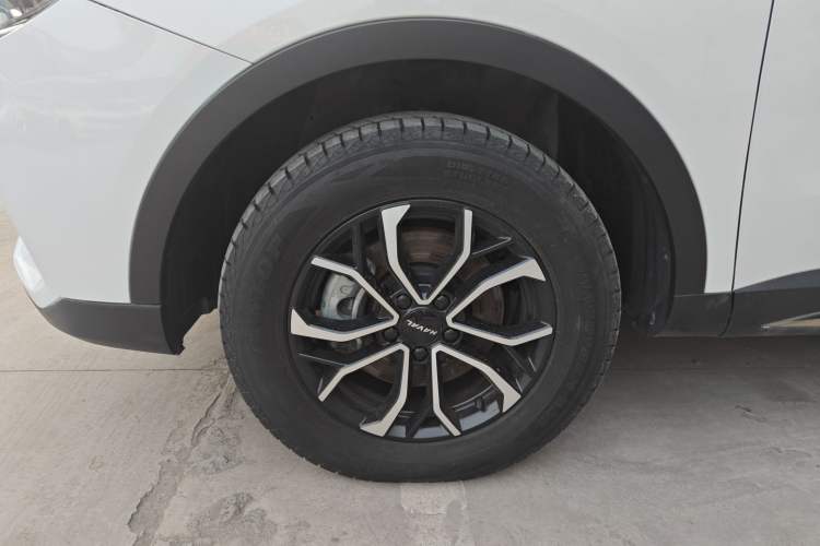 Used Haval H6 2023 National Trend Edition 1.5T Automatic Urban Version Exterior 3