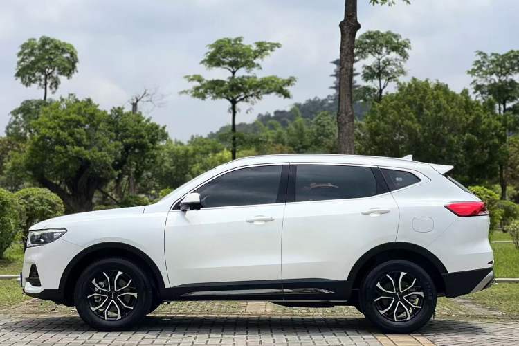 Used Haval H6 2023 National Trend Edition 1.5T Automatic Urban Version Exterior 3
