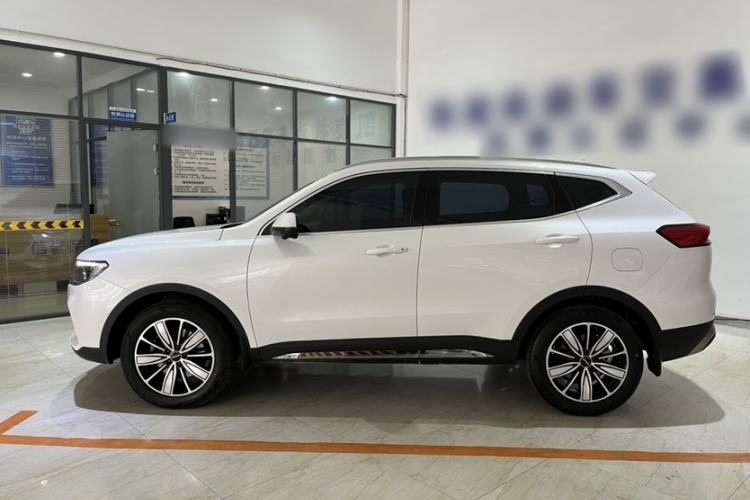Used Haval H6 2023 National Trend Edition 1.5T Automatic Champion Version Exterior 3