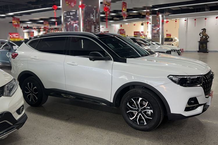 Used Haval H6 2023 National Trend Edition 1.5T Automatic Urban Version Exterior 4