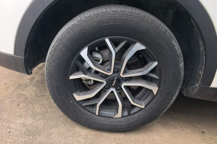 Used Haval H6 2023 National Trend Edition 1.5T Automatic Urban Version Exterior 4