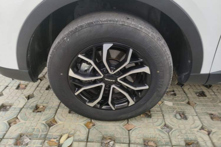 Used Haval H6 2023 National Trend Edition 1.5T Automatic Urban Version Exterior 4