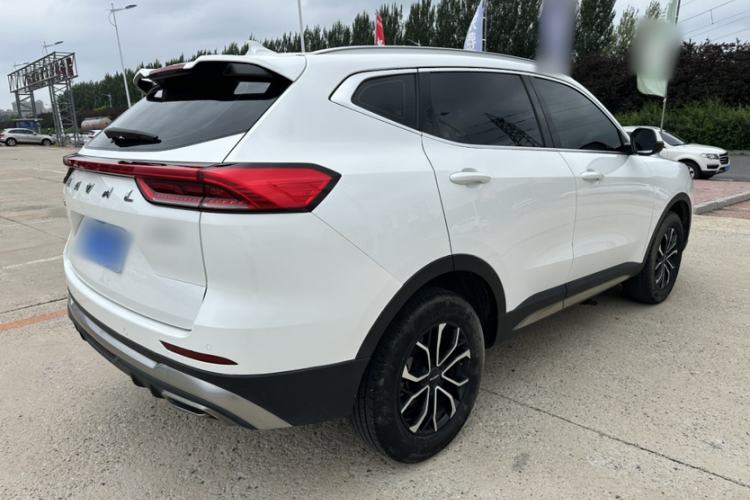 Used Haval H6 2023 National Trend Edition 1.5T Automatic Urban Version Exterior 4