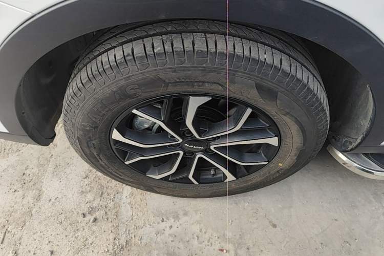 Used Haval H6 2023 National Trend Edition 1.5T Automatic Urban Version Exterior 4