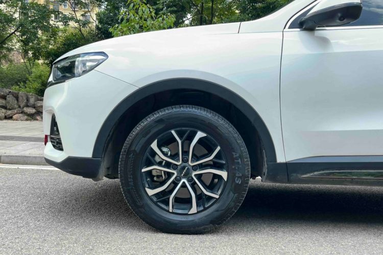 Used Haval H6 2023 National Trend Edition 1.5T Automatic Urban Version Exterior 4