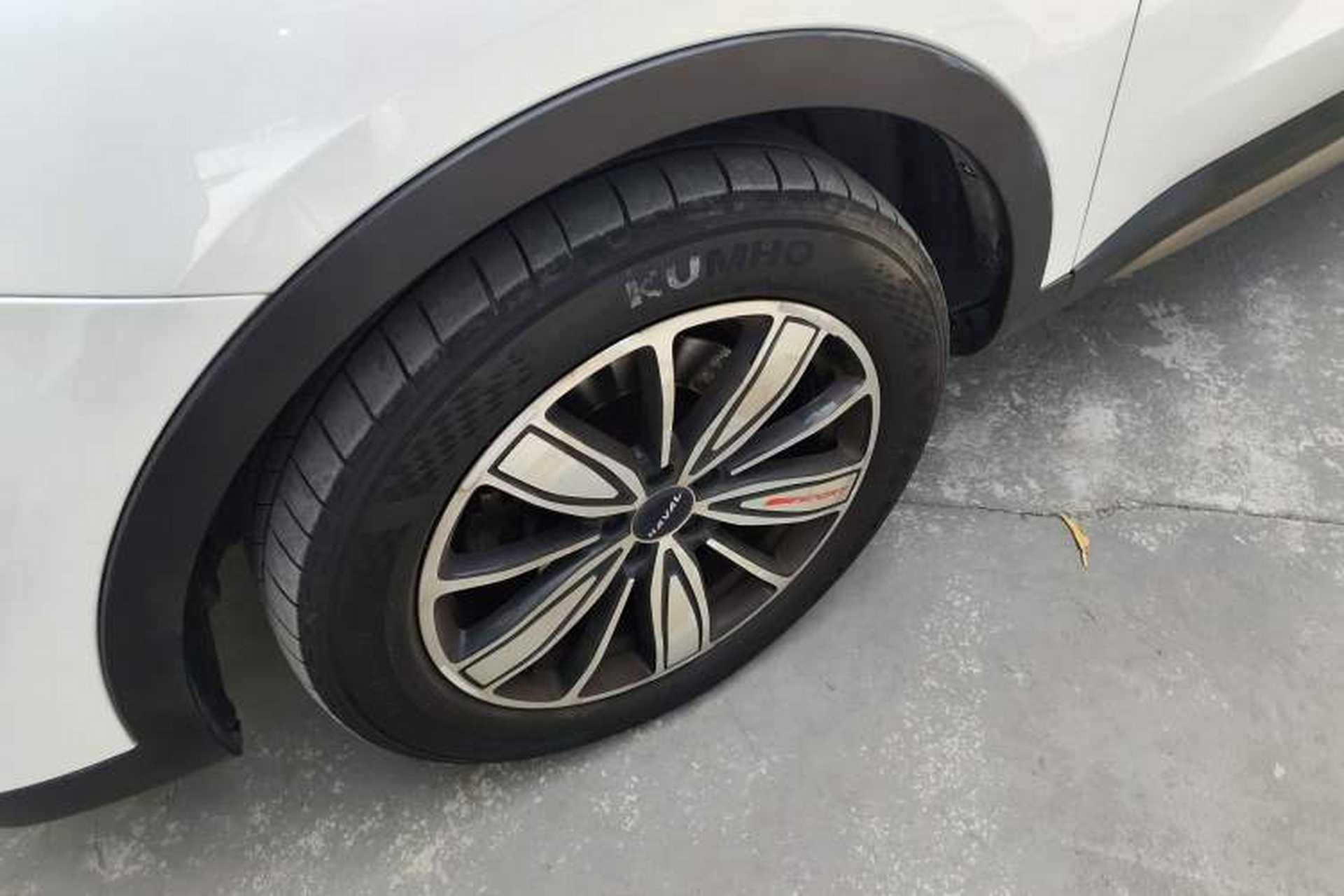 Used Haval H6 2023 National Trend Edition 1.5T Automatic Champion Version Exterior 4