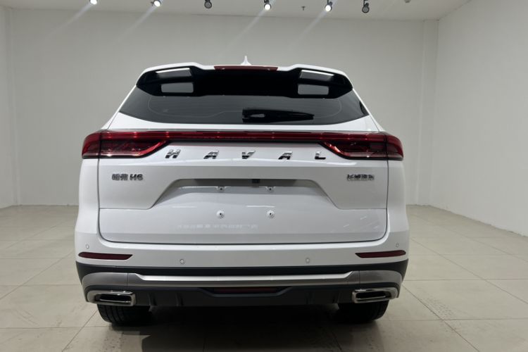 Used Haval H6 2023 National Trend Edition 1.5T Automatic Champion Version Exterior 4