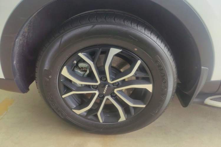 Used Haval H6 2023 National Trend Edition 1.5T Automatic Urban Version Exterior 4