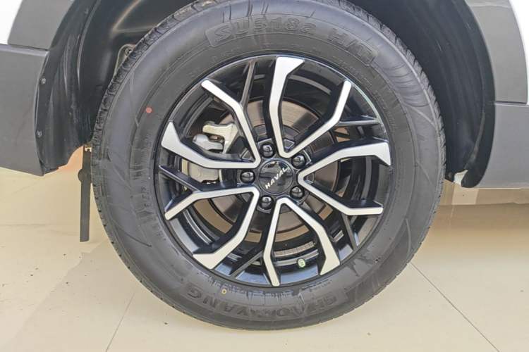 Used Haval H6 2023 National Trend Edition 1.5T Automatic Urban Version Exterior 5