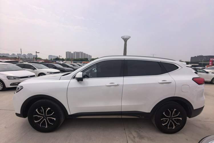 Used Haval H6 2023 National Trend Edition 1.5T Automatic Urban Version Exterior 5