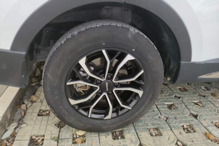 Used Haval H6 2023 National Trend Edition 1.5T Automatic Urban Version Exterior 5