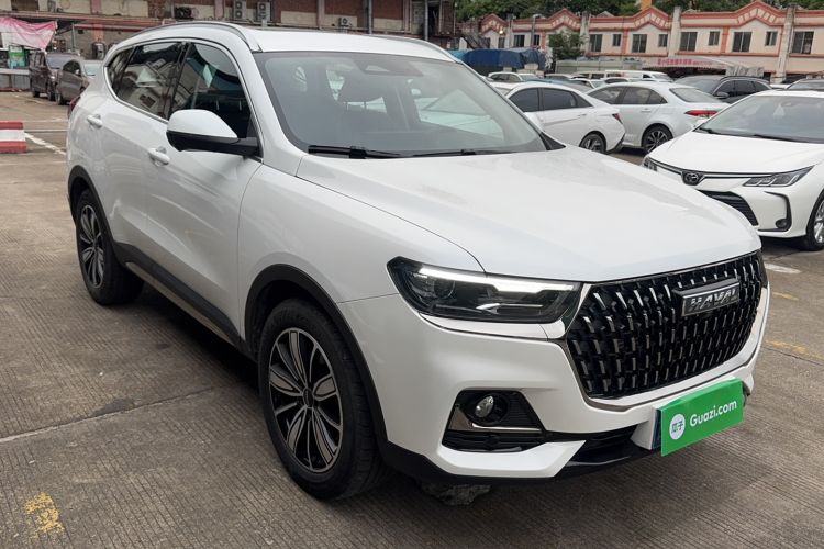 Used Haval H6 2023 National Trend Edition 1.5T Automatic Champion Version Exterior 5