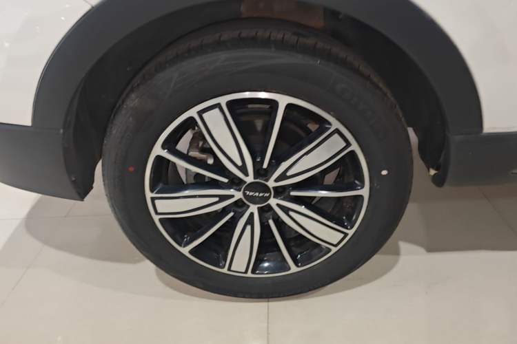 Used Haval H6 2023 National Trend Edition 1.5T Automatic Champion Version Exterior 5