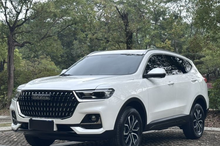 Used Haval H6 2023 National Trend Edition 1.5T Automatic Urban Version Exterior 6