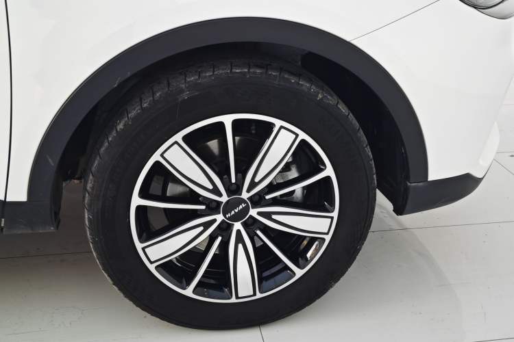 Used Haval H6 2023 National Trend Edition 1.5T Automatic Champion Version Exterior 7