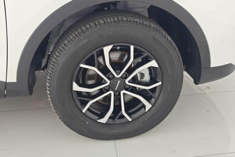 Used Haval H6 2023 National Trend Edition 1.5T Automatic Urban Version Exterior 7